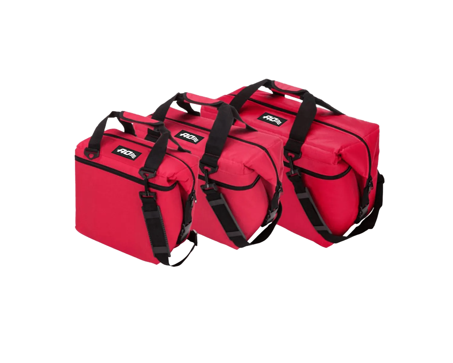 Canvas Series Family Pack