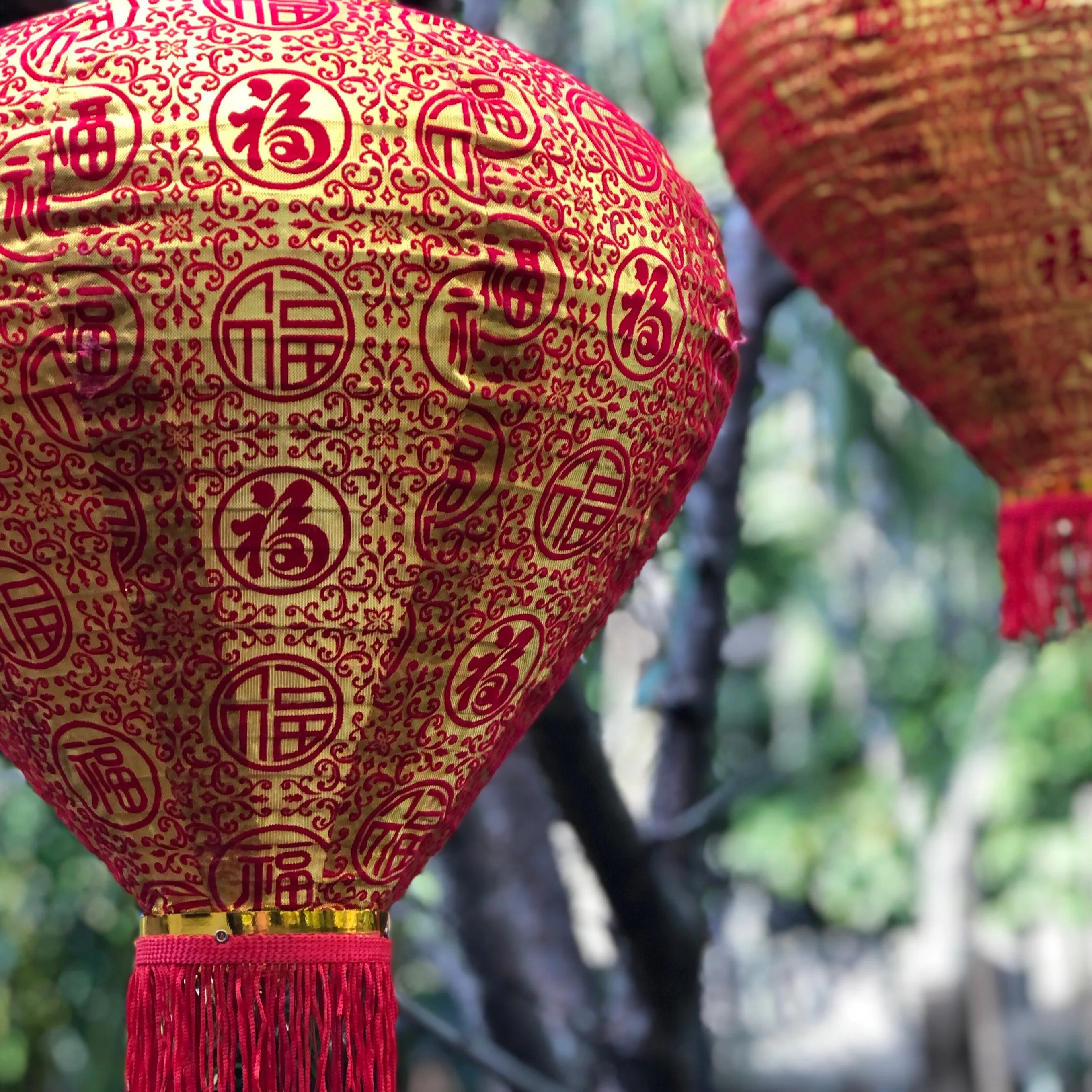 Gold Silk / Red Velvet Chinese Lanterns - 2 pack