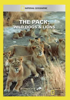 The Pack: Wild Dogs & Lions